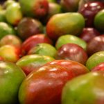 contrabando de frutas