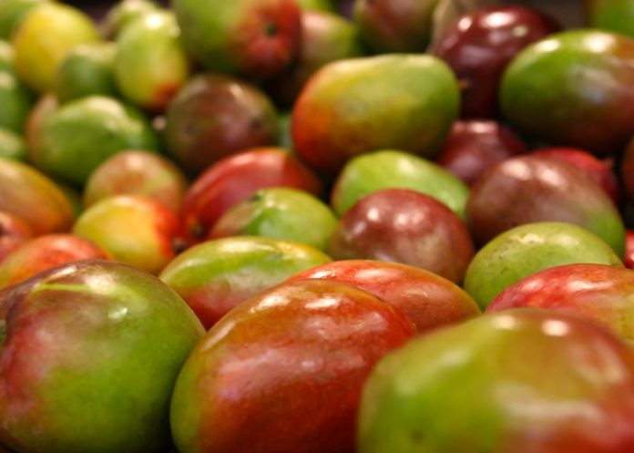 Mangos contrabando de frutas
