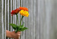 Guatemala inunda con sus flores las tiendas de EE.UU. y Europa guatemala