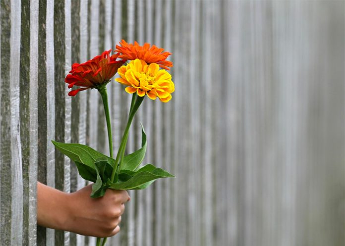 Mano_3hm7Wns guatemala