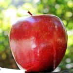 Niña se ahoga con una semilla de manzana en Honduras nina