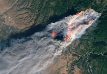 Donald Trump viaja a California, devastada por mortales incendios estados unidos