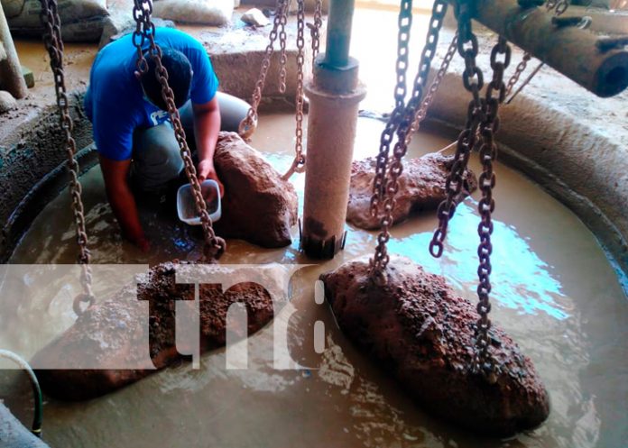 Marca-de-agua-TN8-(4)-Recuperado nicaragua, noticias nacionales, sucesos, fallecidos, inatec, sector minero,