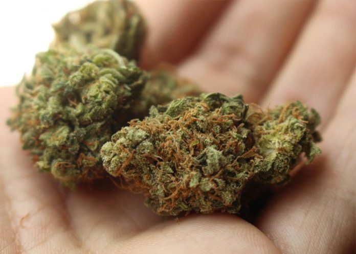 Marihuana_IcAue5H asia