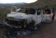 Trump usa masacre de familia LeBarón para justificar su muro fronterizo estados unidos