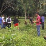 jornada de reforestacion