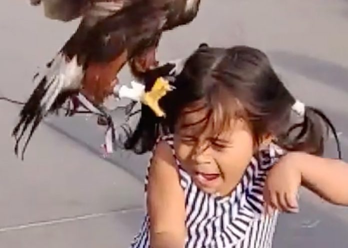 Menor_1jAGpxb mexico