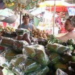 plan nacional de produccion