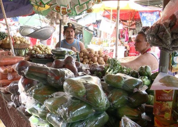 plan nacional de produccion