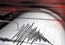 Sismo de magnitud 4,7 sacude Oaxaca, México