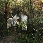 Hallan restos de tres mujeres en Oaxaca, México restos oseos