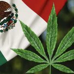 Histórico: México legaliza uso de la marihuana mexico
