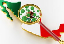 México confirma tercer fallecimiento por nuevo coronavirus mexico