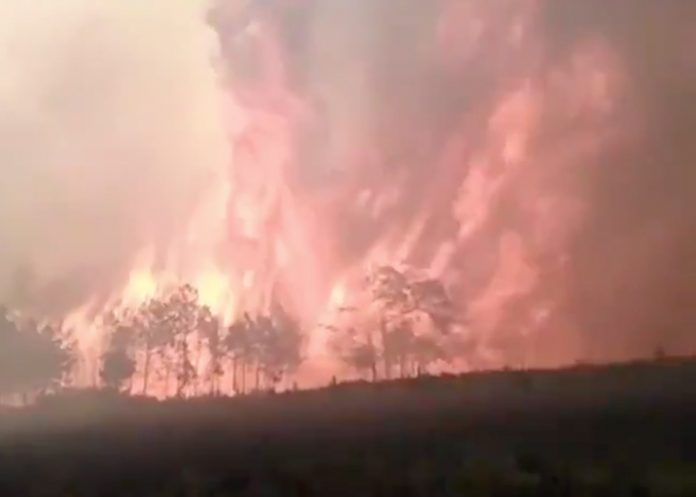 Mexico_IMfWSse mexico