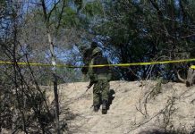 Hallan 19 cuerpos en 11 fosas clandestinas en Colima, México mexico