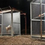 Pesebre con Jesús, María y José separados y encerrados en EE.UU. migrantes