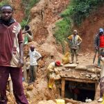 cadaveres en descomposicion