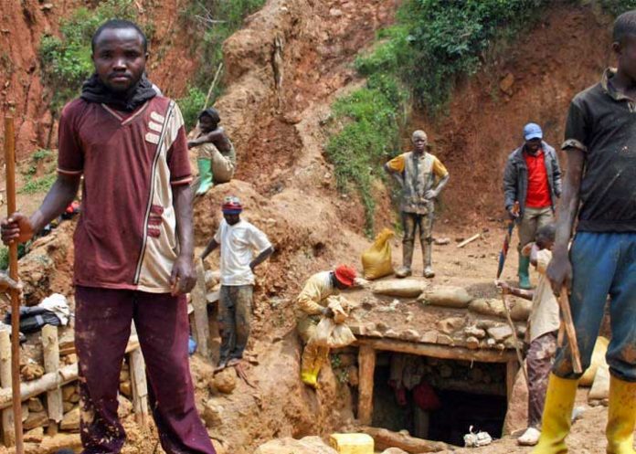 cadaveres en descomposicion