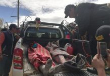 Ocho trabajadores mueren asfixiados en una mina ilegal de Perú muertos