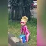 Especies de simios comparten gestos y también significado chimpances y bonobos