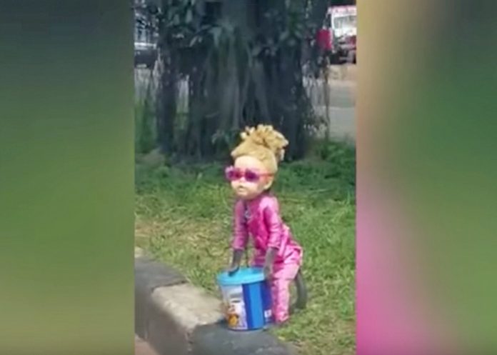 chimpances y bonobos