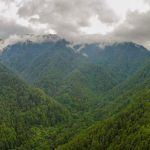 Miley Cyrus dedica su nuevo sencillo a su padre Billy Ray honduras