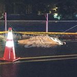 Mueren 13 personas y 12 desaparecen en zona central de Indonesia indonesia