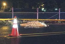 Costa Rica cierra Semana Santa con 38 muertes indonesia