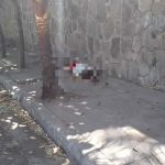 Matan a hombre estrellándolo contra una pared en El Salvador el salvador