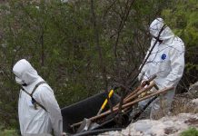 Exhuman 21 cadáveres de fosa clandestina en Nayarit, México mexico