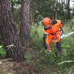 Pena de muerte para hombre que descuartizó a mujer con una sierra cadaver en una maleta