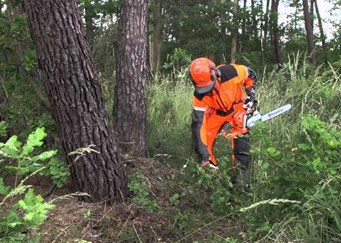 cadaver en una maleta