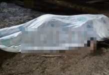 A machetazos pareja mata a su mujer en Cortés, Honduras mujer macheteada
