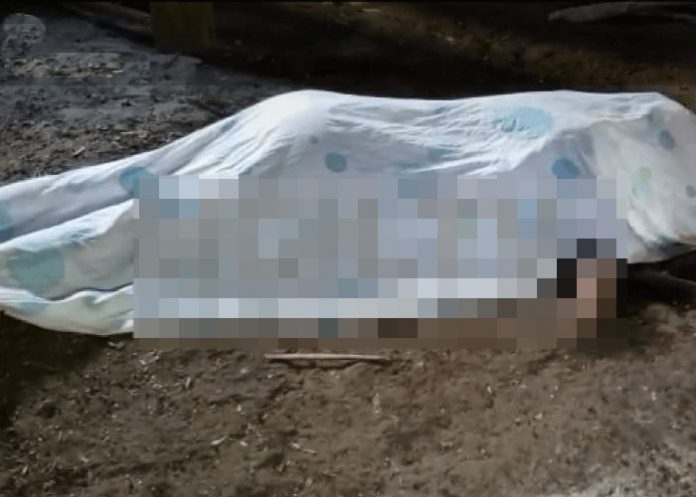 Mujer_1ANA3Ci mujer macheteada