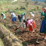 Mujeres rurales, el tema del Comité de Seguridad Alimentaria Mundial en Roma roma