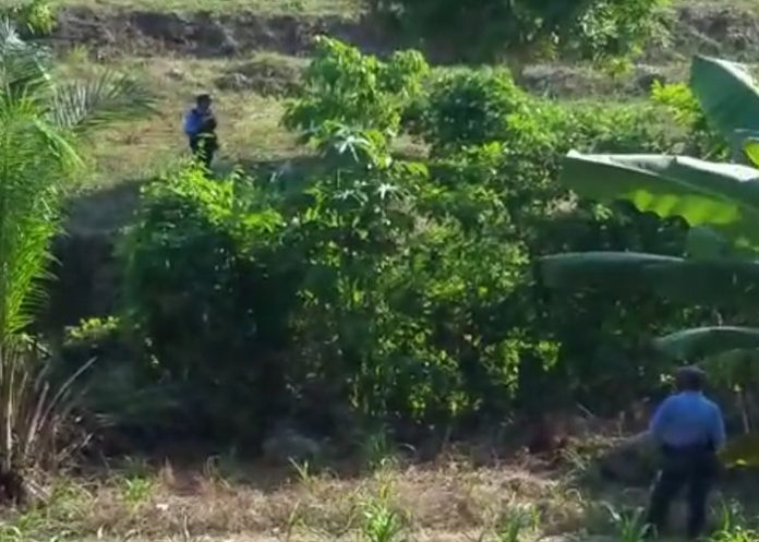 Mujeres_decapitadas_Honduras honduras