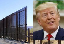 Las mentiras del muro que Trump no quiere que sepás muro fronterizo en arizona