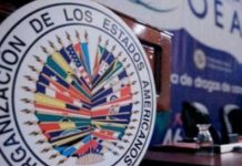 Nicaragua condena en la OEA el Golpe de Estado contra Bolivia nicaragua