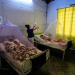 Paraguay registra bajas notificaciones de dengue en un año paraguay