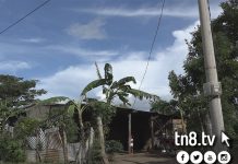 enatrel
