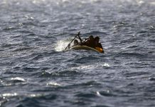 Al menos 5 migrantes mueren en naufragio en el mar Egeo muertos