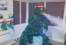 Hombre crea árbol de Navidad en forma de Godzilla (Video) arbol de navidad