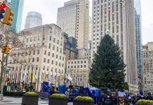 Hoy encienden el árbol de Navidad del Rockefeller Center rockefeller center