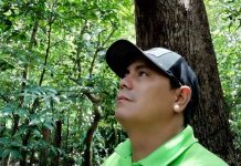 Nicaragüense muere en Dubái al reventarse cuerda en canopy costa rica