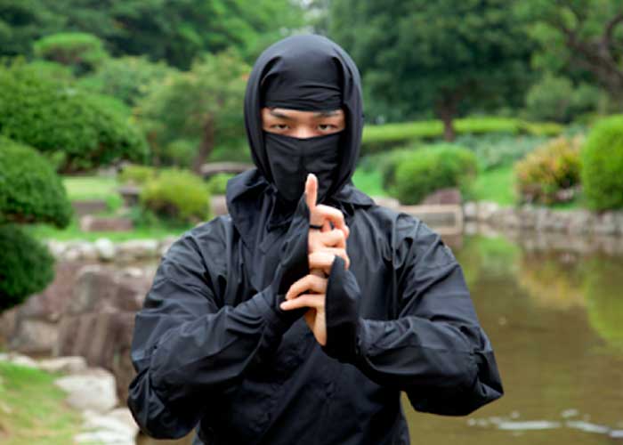 Ninja japon