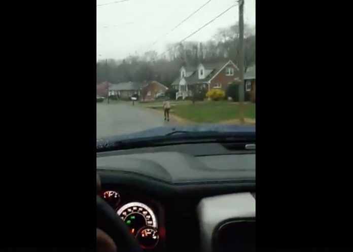 bullying en escuela de estados unidos