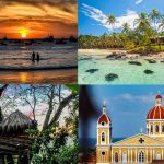 Potente remedio natural para problemas en la próstata organos reproductores