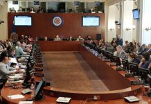 OEA aprueba resolución para reunir a familias inmigrantes «lo más rápido posible» oea