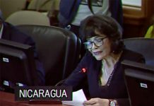 Nicaragua expone falsedades de la CIDH en Sesión de la OEA nicaragua