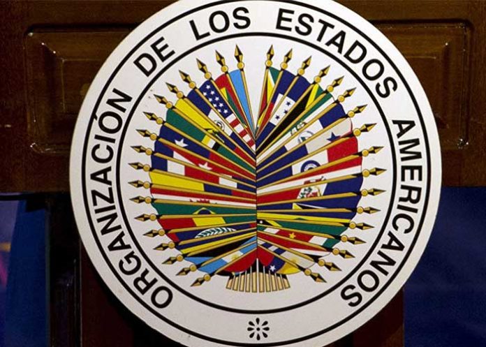 grupo interdisciplinario de expertos independientes